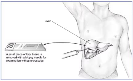 medicalimages