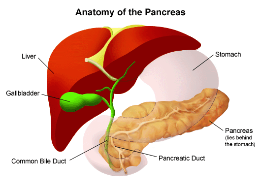 medicalimages